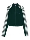 Adidas Originals Adicolor Track Jacket In Green