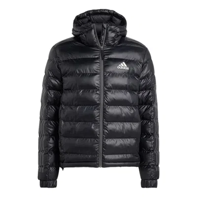Adidas Originals Adidas 3-stripes Sdp Badge Of Sport Jacket 'black'