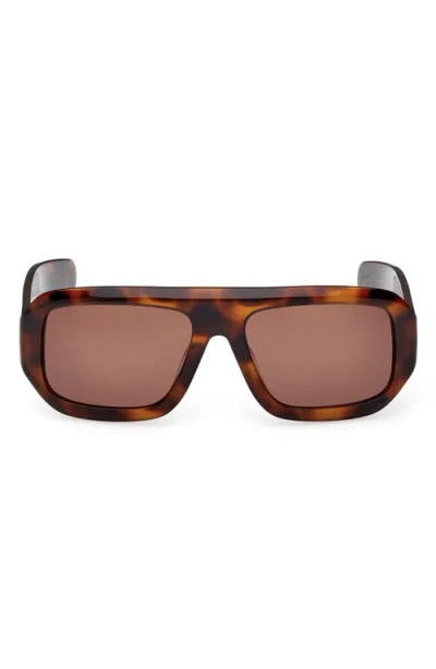 Adidas Originals Adidas 58mm Navigator Sunglasses In Brown