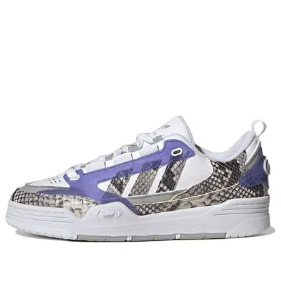 Adidas Originals Adidas Adi2000 'snakeskin - Stone Purple' In Multi