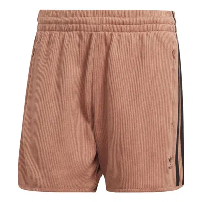 Adidas Originals Adidas Adicolor Classics Waffle Shorts 'brown' In Neutral