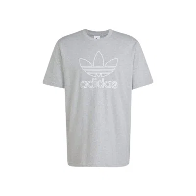 Adidas Originals Adidas Adicolor Outline Trefoil T-shirt 'grey' In Gray