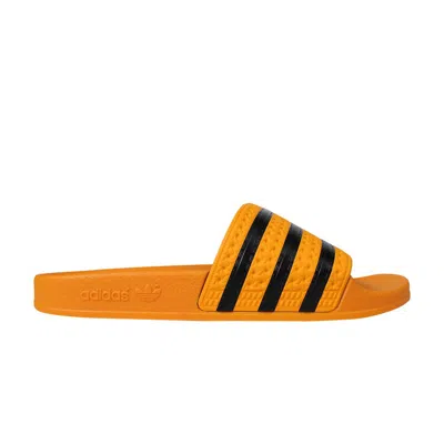 Pre-owned Adidas Originals Adidas Adilette Slide 'real Gold' | Men's Size 8