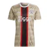 Adidas Originals Adidas Ajax Amsterdam X Daily Paper 22/23 Third Jersey In Neutral