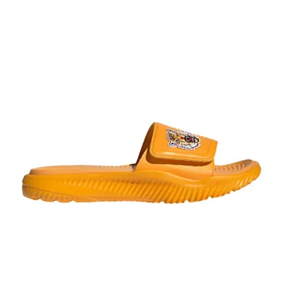 Pre-owned Adidas Originals Adidas Alphabounce Slide 2.0 'ncaa Pack - Grambling State' | Yellow | Men's Size 8