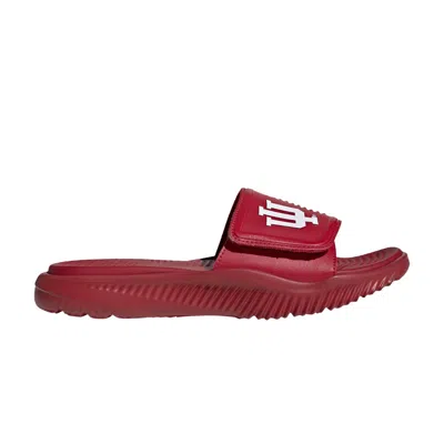 Pre-owned Adidas Originals Adidas Alphabounce Slide 2.0 'ncaa Pack - Indiana' | Red | Men's Size 14