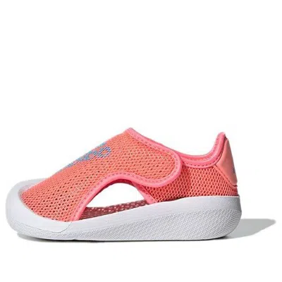 Adidas Originals Adidas Altaventure I 'acid Red Sky Rush'
