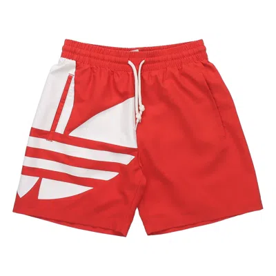 Adidas Originals Adidas Big Trefoil Swim Sports Shorts Pink Red