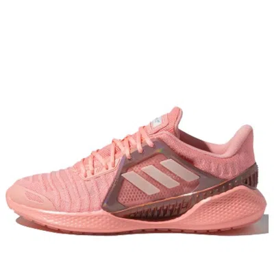 Adidas Originals Adidas Climacool Vent Summer.rdy 'pink'