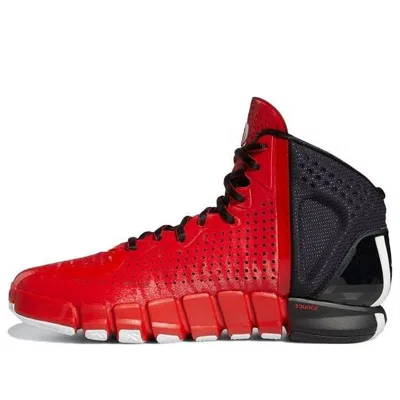 Adidas Originals Adidas D Rose 4 Evo 'brenda'