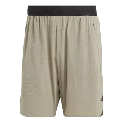 Adidas Originals Adidas Designed For Training Hiit Training Shorts 'silver Pebble' In Gray