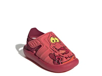 Adidas Originals Adidas Disney Sebastian Water Sandal Kids' In Pink