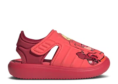 Adidas Originals Babies' Adidas Disney X Adidas Water Sandal I 'sebastian' In Red