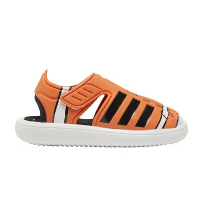 Pre-owned Adidas Originals Adidas Disney X Summer Closed Toe Water Sandal I 'finding Nemo' | Orange | Infant Size 4