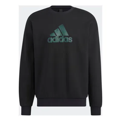 Adidas Originals Adidas Graphic Crew Sweatshirt 'black'
