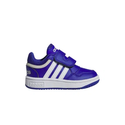 Pre-owned Adidas Originals Adidas Hoops I 'royal Blue' | Infant Size 10