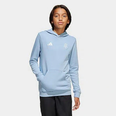Adidas Originals Adidas Kids' Argentina Anniversary Dna Hoodie In Ambient Sky/cloud White