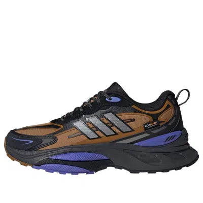 Adidas Originals Adidas Mts Pro 'brown Black Cobalt Blue' In Multi