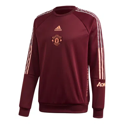 Adidas Originals Adidas Mufc Travel Swt Manchester United Soccer/football Sports Pullover Purple In Burgundy