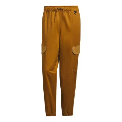 Adidas Originals Adidas Neo Sports Pants 'brown'