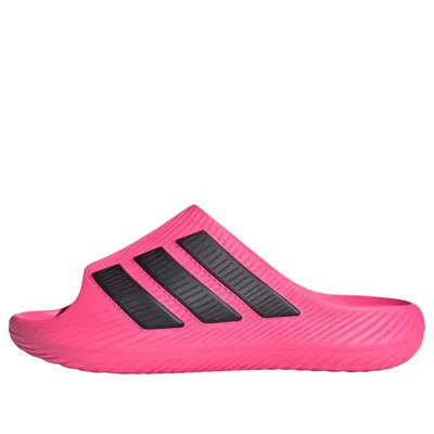 Adidas Originals Adidas Purechill Slides 'lucid Pink Black'