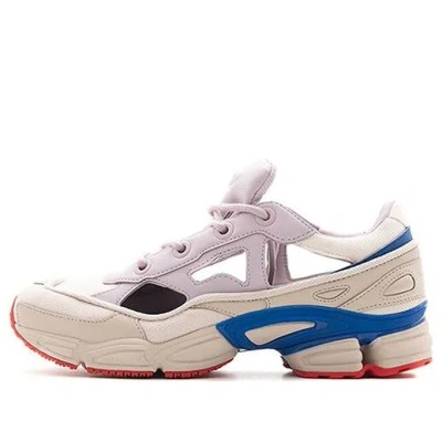 Adidas Originals Adidas Raf Simons X Ozweego Replicant 'usa'