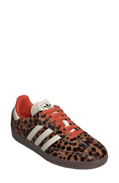 Adidas Originals Adidas Samba Og Sneaker In Animal Print