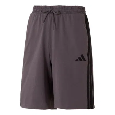 Adidas Originals Adidas Shorts 'purple' In Brown