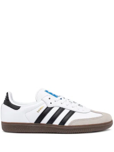 Adidas Originals Adidas Sneaker Samba In Multi