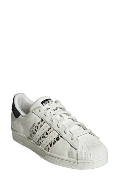 Adidas Originals Adidas Superstar Sneaker In Off White/ Black/ Off White