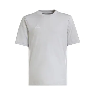 Pre-owned Adidas Originals Adidas Tabela 23 Jersey Gs 'team Light Grey/white' | Kid's Size Xl