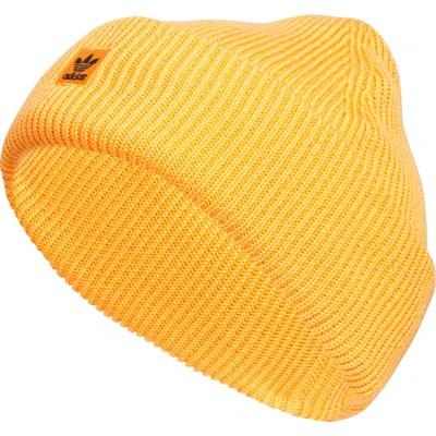 Adidas Originals Adidas Terrace Ribbd Beanie In Yellow
