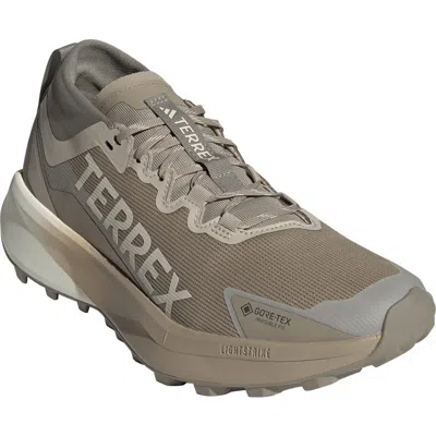 Adidas Originals Adidas Terrex Agravic Gore-tex® Trail Running Shoe In Brown