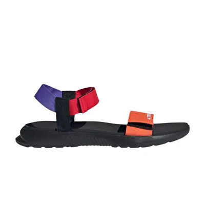 Pre-owned Adidas Originals Adidas Terrex Hydroterra Light Sandal 'semi Impact Orange Cobalt Blue' | Multi-color | Men's Size 10