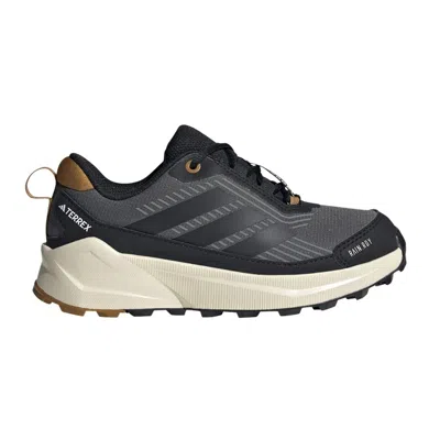 Pre-owned Adidas Originals Adidas Terrex Trailmaker 2 Rain.rdy K 'grey Black Bronze Strata' | Kid's Size 6 In Gray