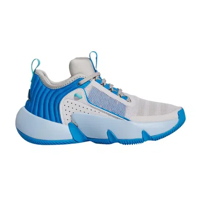 Pre-owned Adidas Originals Adidas Trae Unlimited Big Kid 'dash Grey Bright Blue' | Kid's Size 5.5
