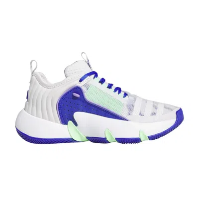 Pre-owned Adidas Originals Adidas Trae Unlimited J 'dash Grey Lucid Blue' | Kid's Size 5 In Gray