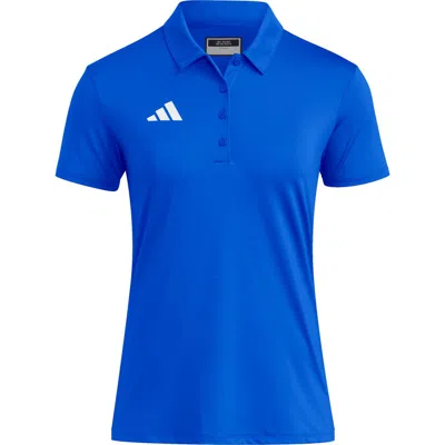 Adidas Originals Adidas Ultimate365 Polo In Team Royal Blue/ White