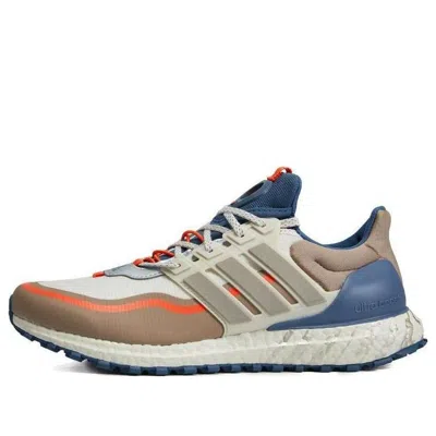 Adidas Originals Adidas Ultra Boost All Terrain 'brown Blue' In Multi