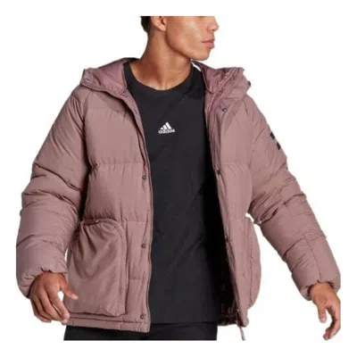 Adidas Originals Adidas Utilitas Down Hooded Jacket In Pink