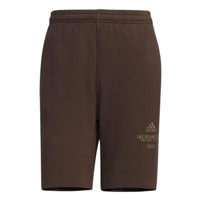 Adidas Originals Adidas Verbiage Shorts 'dark Brown'