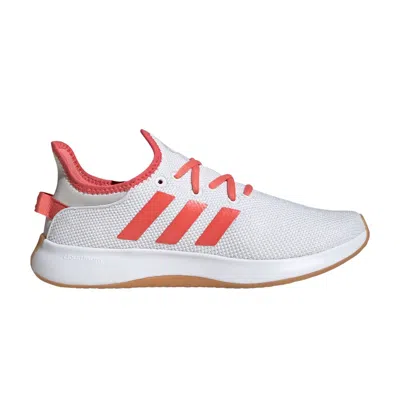 Pre-owned Adidas Originals Adidas Wmns Cloudfoam Pure 'white Preloved Scarlet Gum' | Women's Size 6