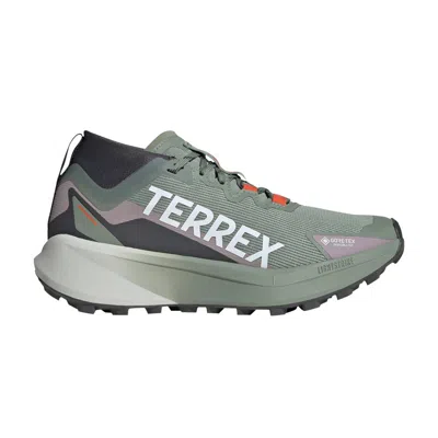 Pre-owned Adidas Originals Adidas Wmns Terrex Agravic Mid Gore-tex 'silver Green' | Women's Size 7