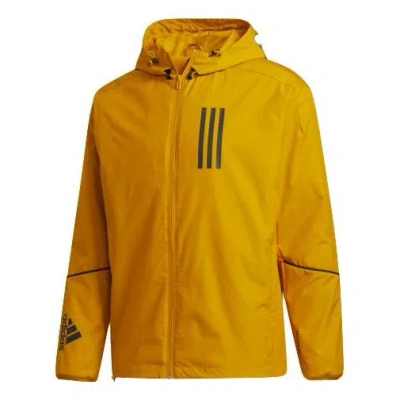 Adidas Originals Adidas W.n.d. Hooded Sports Stylish Jacket Gold Color In Yellow