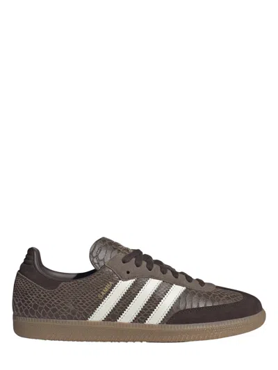 Adidas Originals Adidas Women's 100% Leather Sneakers In Brown
