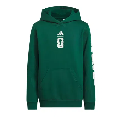 Pre-owned Adidas Originals Adidas World Cup 26 Mexico Graphic Hoodie 'collegiate Green' | Kid's Size Xl