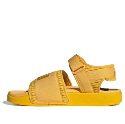 Adidas Originals Adidas X Pharrell Adilette 2.0 Sandal 'bold Gold'