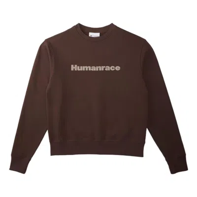Adidas Originals Adidas X Pharrell Humanrace Logo Sweatshirt 'brown'