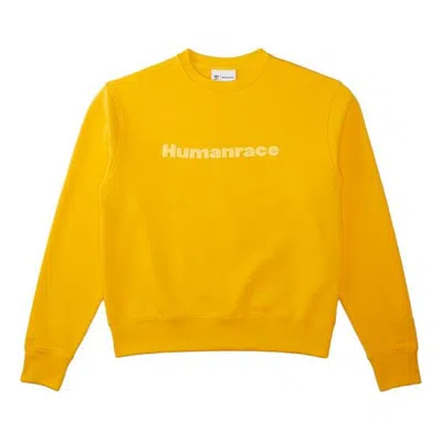 Adidas Originals Adidas X Pharrell Humanrace Logo Sweatshirt 'yellow'