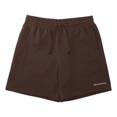 Adidas Originals Adidas X Pharrell Humanrace Small Logo Shorts 'brown'